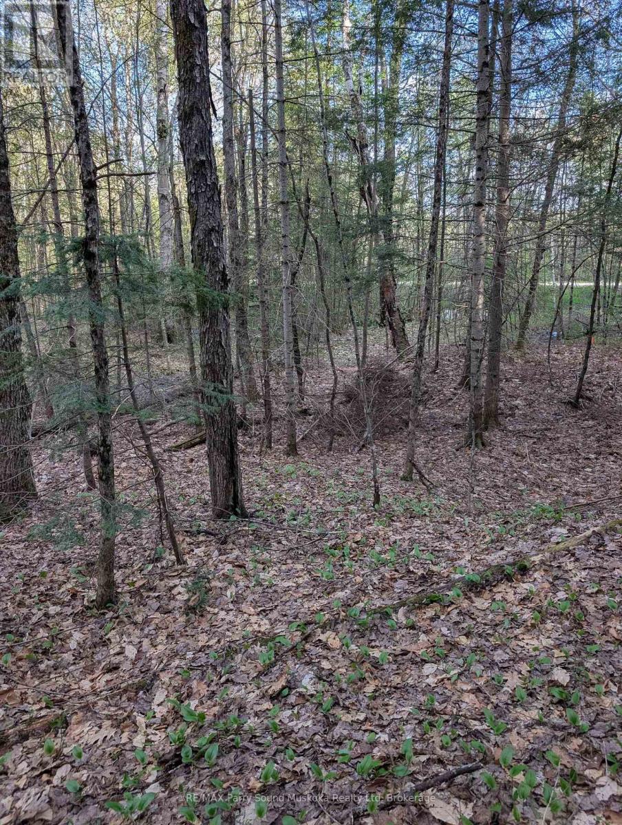 0 Sugar Lake Road, Seguin, Ontario  P2A 2W9 - Photo 4 - X13160102