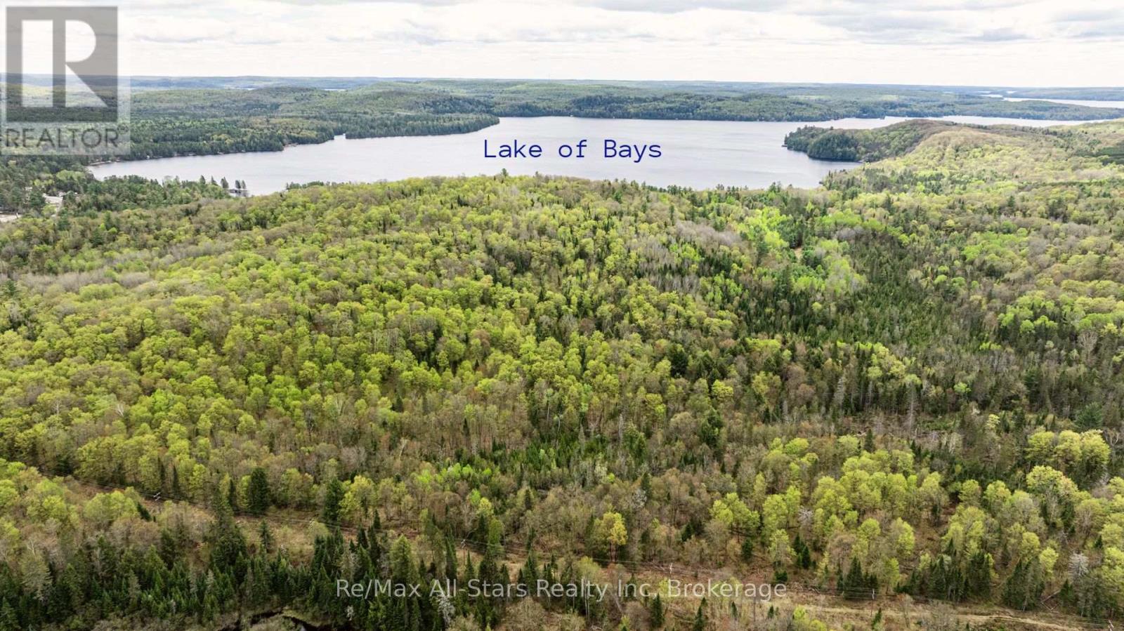 2797 Highway 60 Highway, Lake Of Bays, Ontario  P0A 1H0 - Photo 41 - X13161680