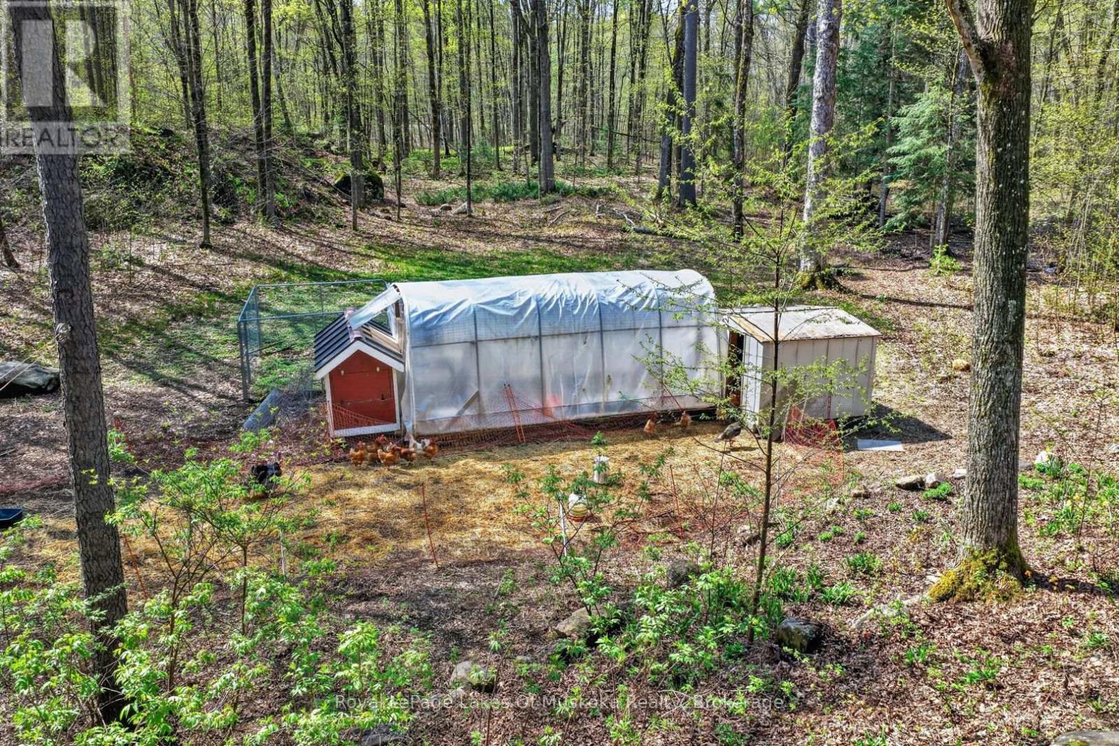 1034 Old 117 Highway, Lake Of Bays, Ontario P0B 1A0 - Photo 30 - X13165954