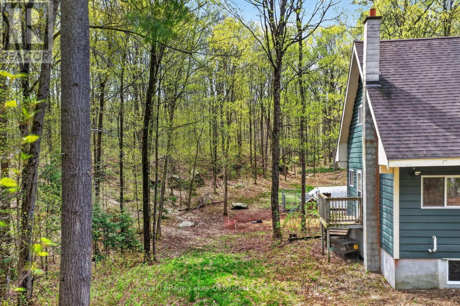 1034 Old 117 Highway, Lake Of Bays, Ontario P0B 1A0 - Photo 35 - X13165954
