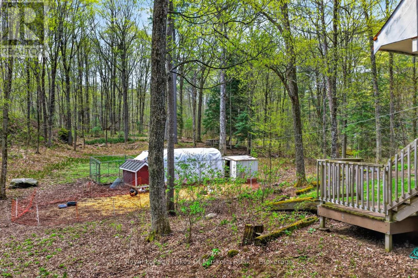 1034 Old 117 Highway, Lake Of Bays, Ontario P0B 1A0 - Photo 37 - X13165954