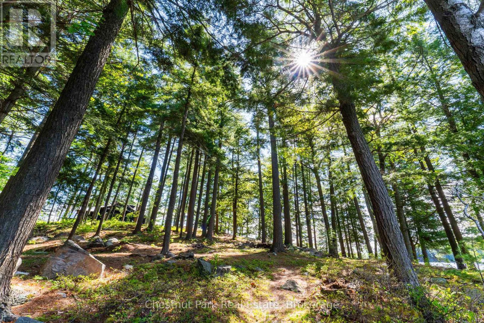 5 Is Beacon Island, Muskoka Lakes, Ontario P0B 1J0 - Photo 24 - X13168632