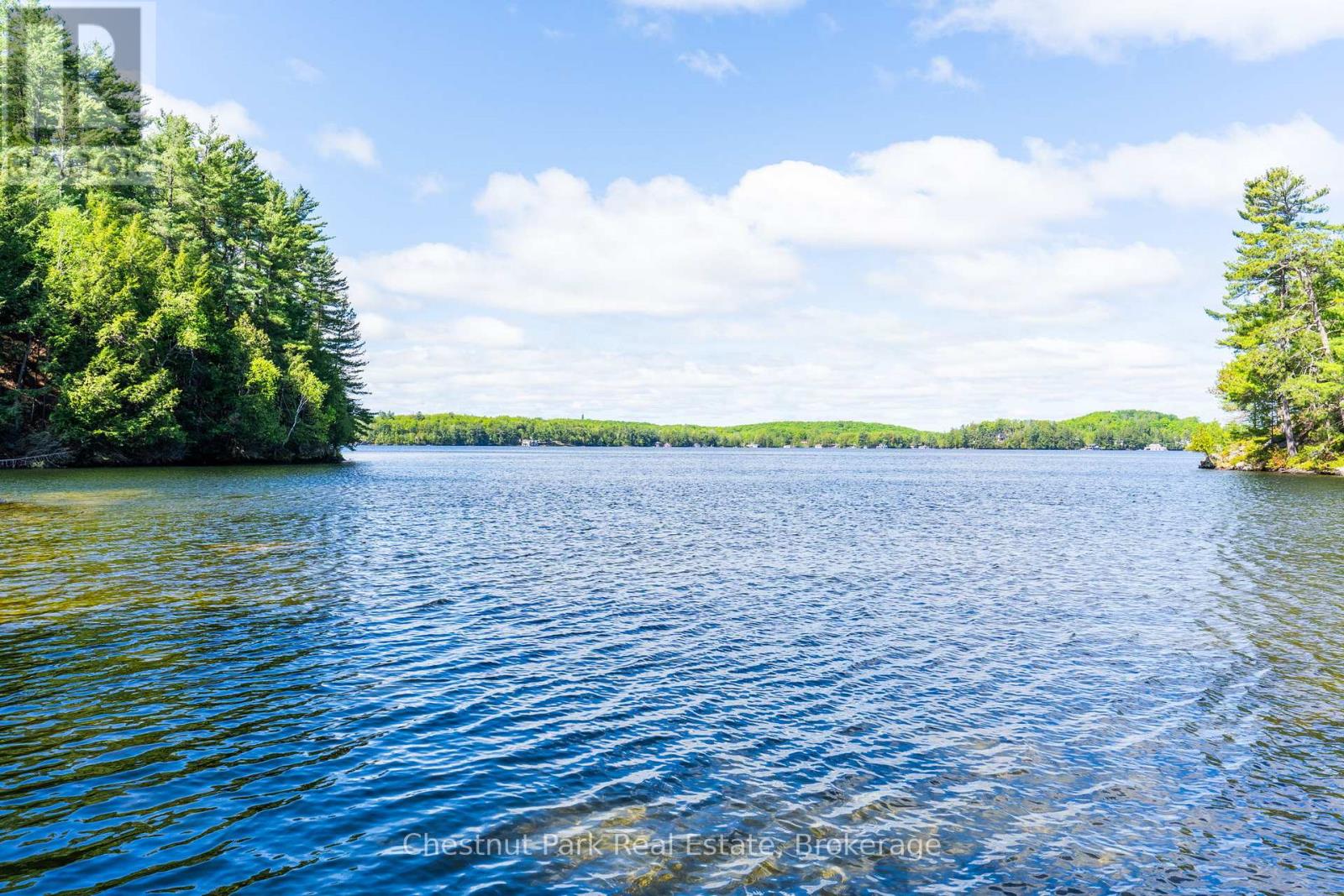 5 Is Beacon Island, Muskoka Lakes, Ontario P0B 1J0 - Photo 4 - X13168632