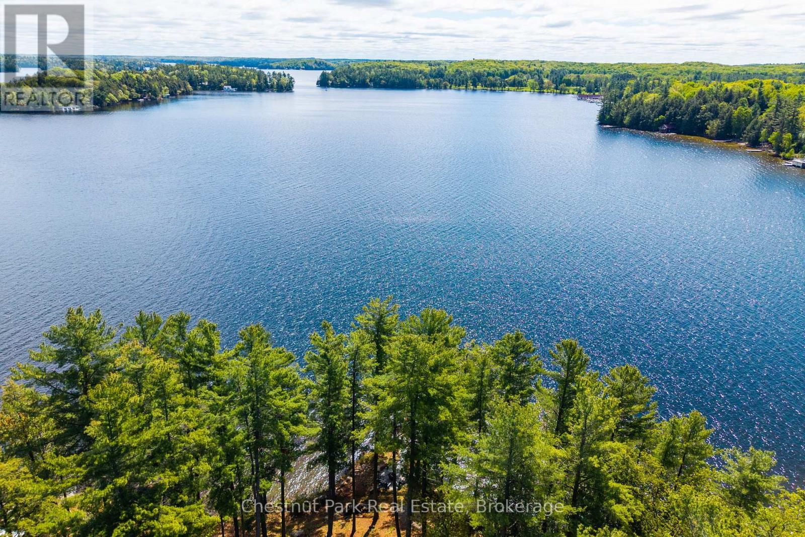 5 Is Beacon Island, Muskoka Lakes, Ontario P0B 1J0 - Photo 6 - X13168632