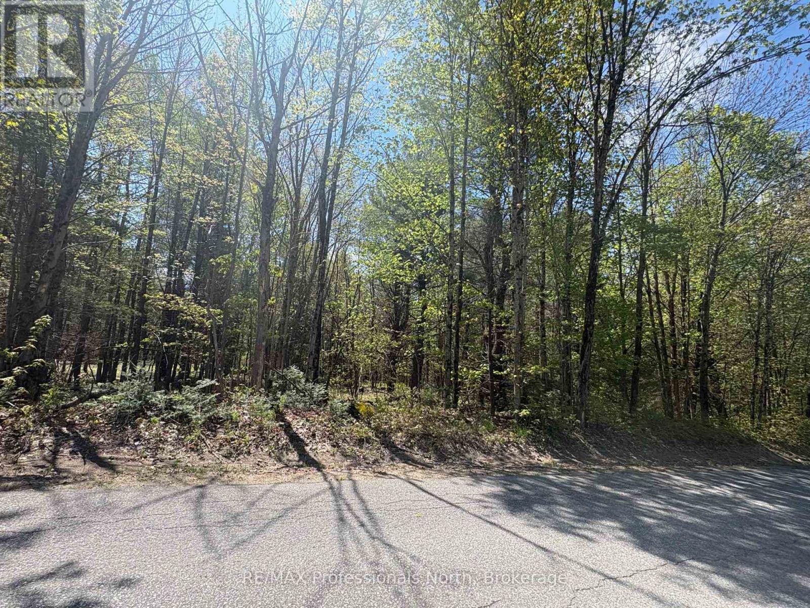429 Britannia Road, Huntsville, Ontario  P1H 2J3 - Photo 2 - X13170524