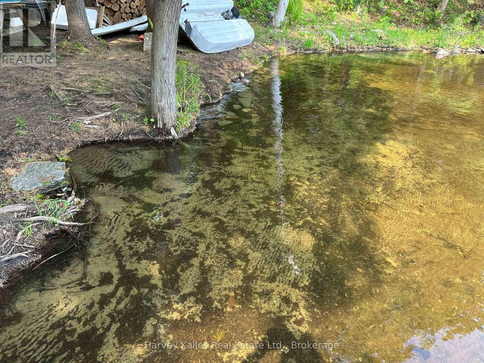 4 - 1254 Barlochan Road, Muskoka Lakes, Ontario  P1P 1R2 - Photo 6 - X13173084