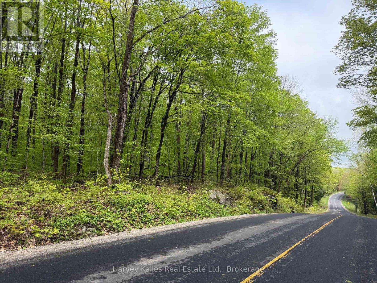 Con 1 Pt Lot 12 Barlochan Road, Muskoka Lakes, Ontario P1P 1R2 - Photo 1 - X13173086