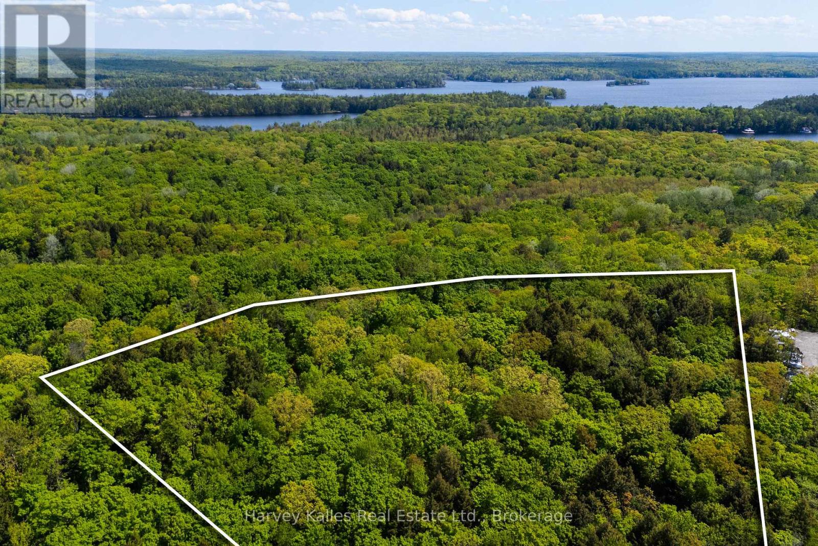 Con 1 Pt Lot 12 Barlochan Road, Muskoka Lakes, Ontario P1P 1R2 - Photo 11 - X13173086