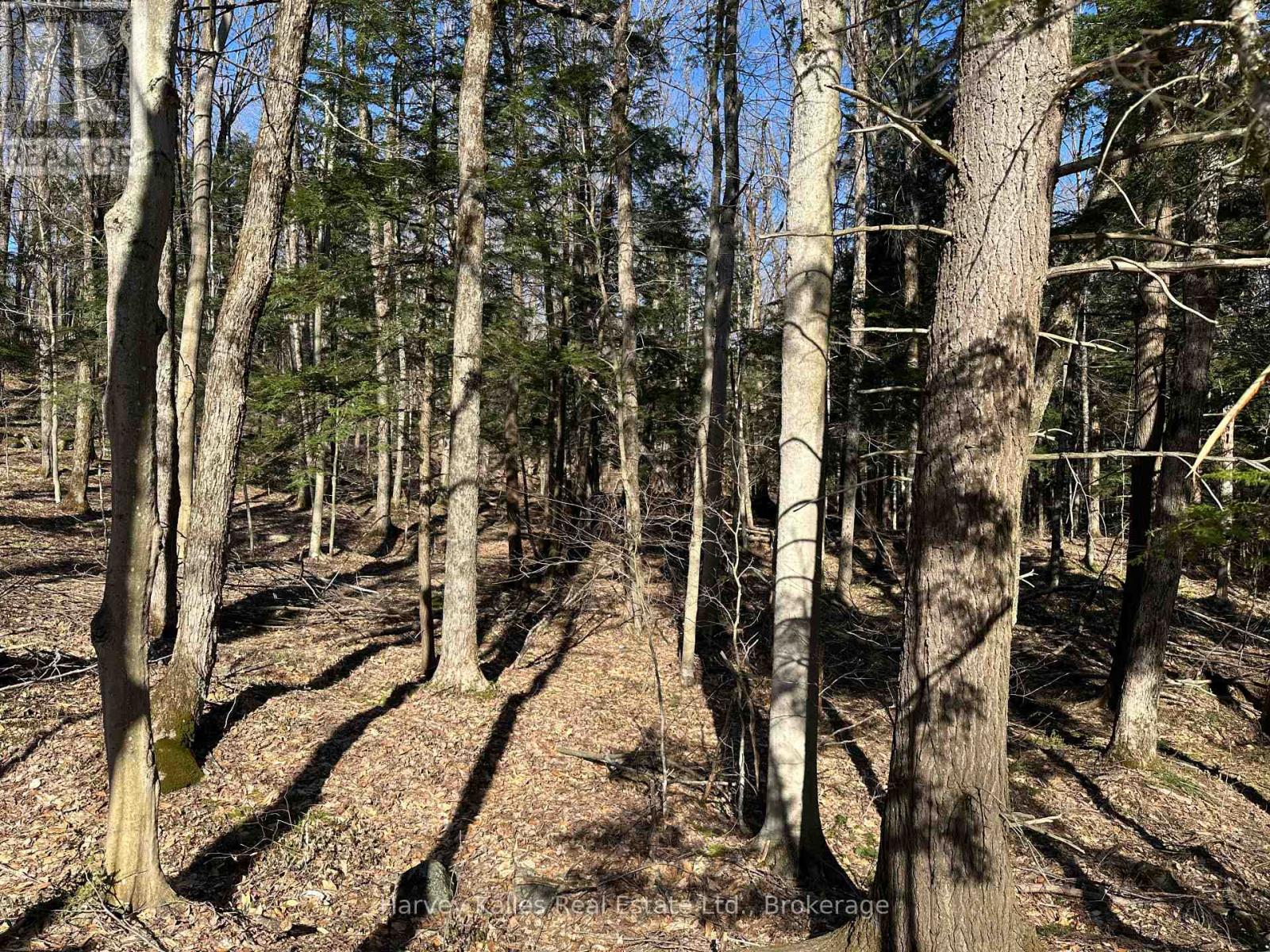 Con 1 Pt Lot 12 Barlochan Road, Muskoka Lakes, Ontario P1P 1R2 - Photo 18 - X13173086