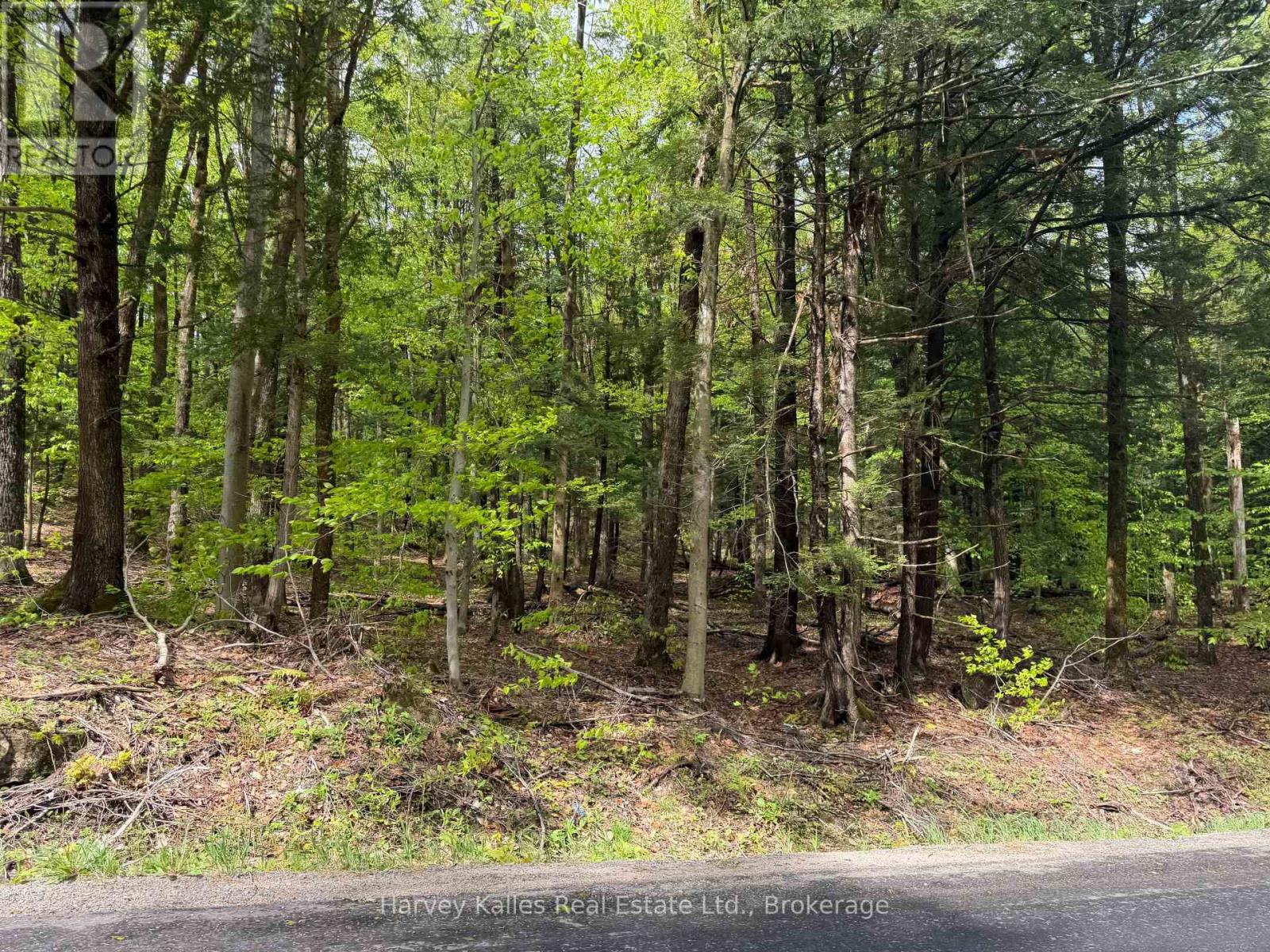 Con 1 Pt Lot 12 Barlochan Road, Muskoka Lakes, Ontario P1P 1R2 - Photo 2 - X13173086