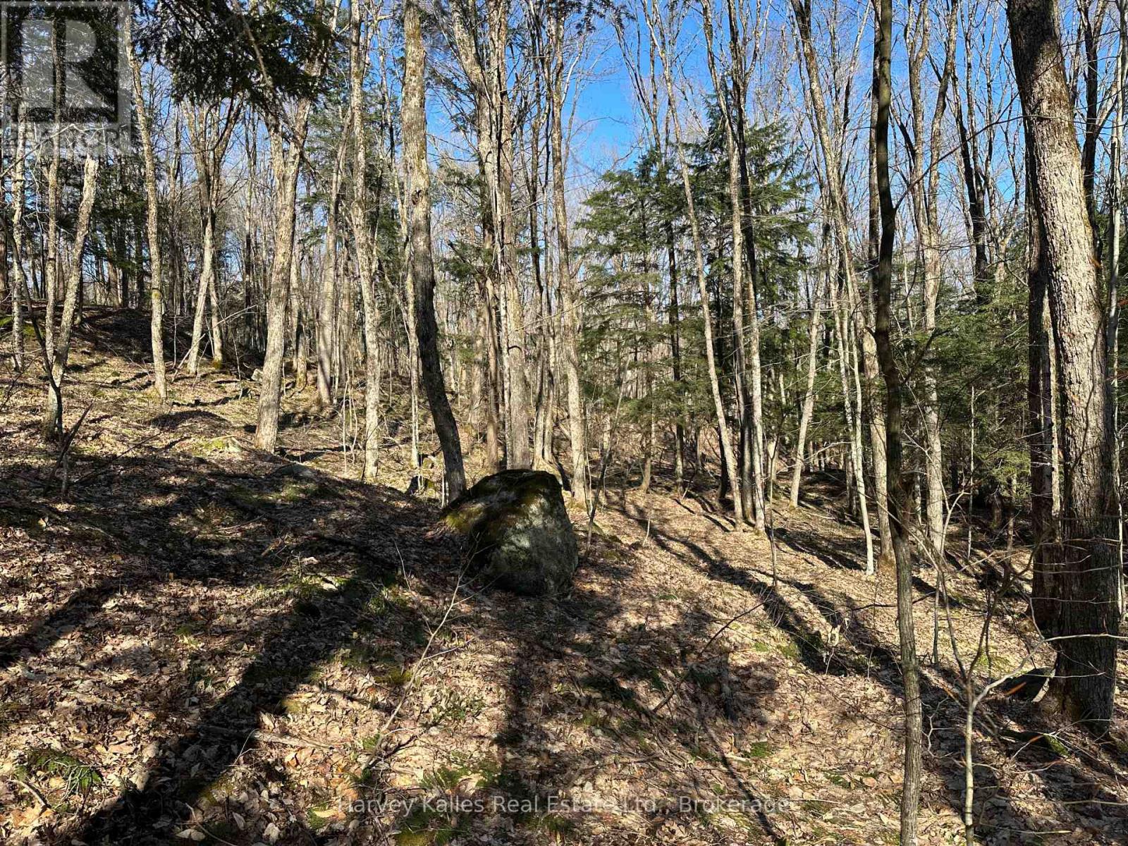 Con 1 Pt Lot 12 Barlochan Road, Muskoka Lakes, Ontario P1P 1R2 - Photo 21 - X13173086