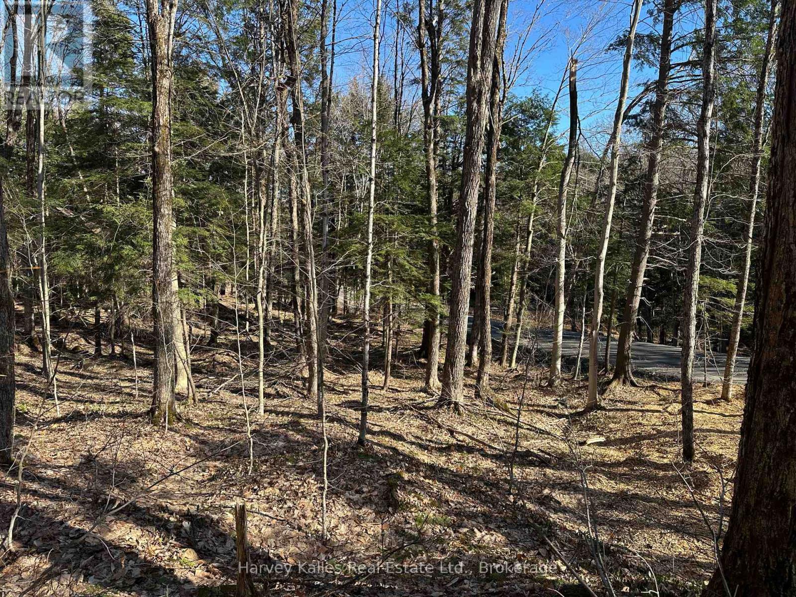 Con 1 Pt Lot 12 Barlochan Road, Muskoka Lakes, Ontario P1P 1R2 - Photo 22 - X13173086