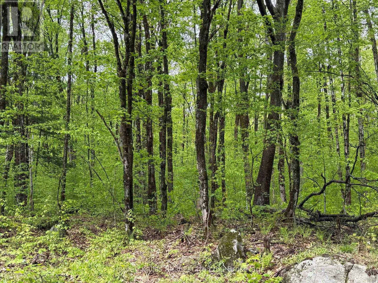 Con 1 Pt Lot 12 Barlochan Road, Muskoka Lakes, Ontario P1P 1R2 - Photo 3 - X13173086