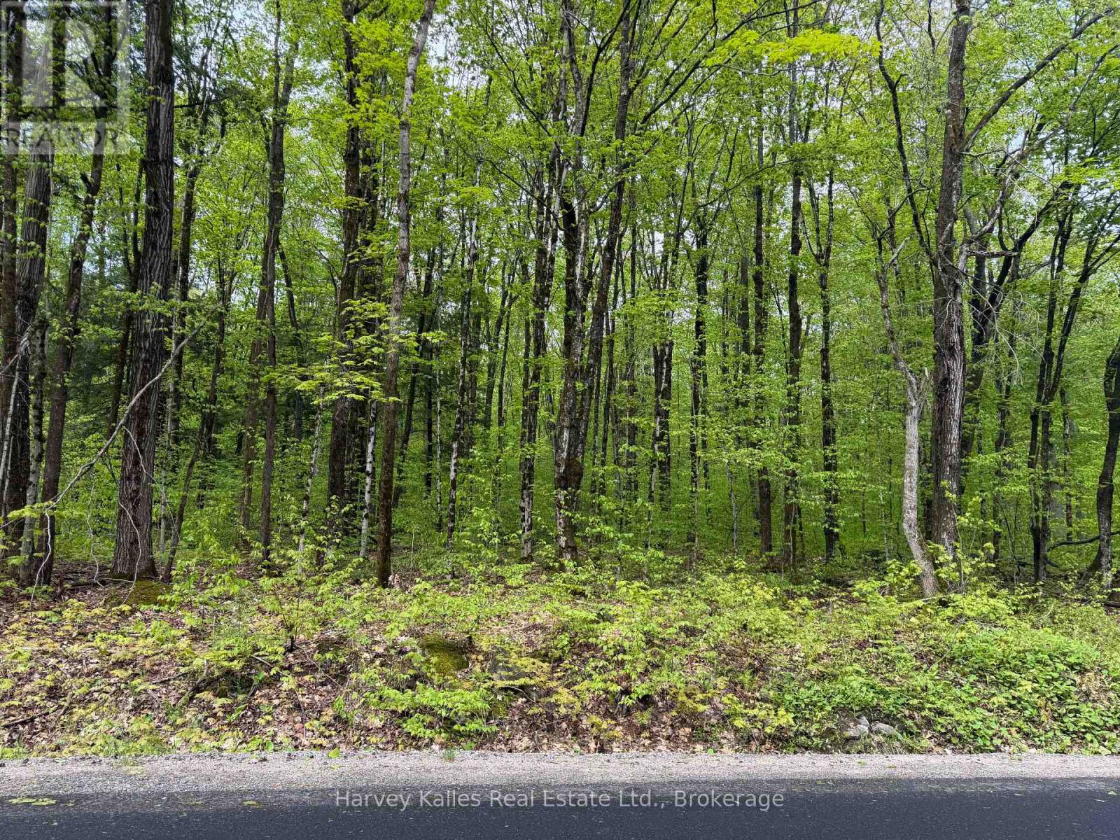 Con 1 Pt Lot 12 Barlochan Road, Muskoka Lakes, Ontario P1P 1R2 - Photo 32 - X13173086