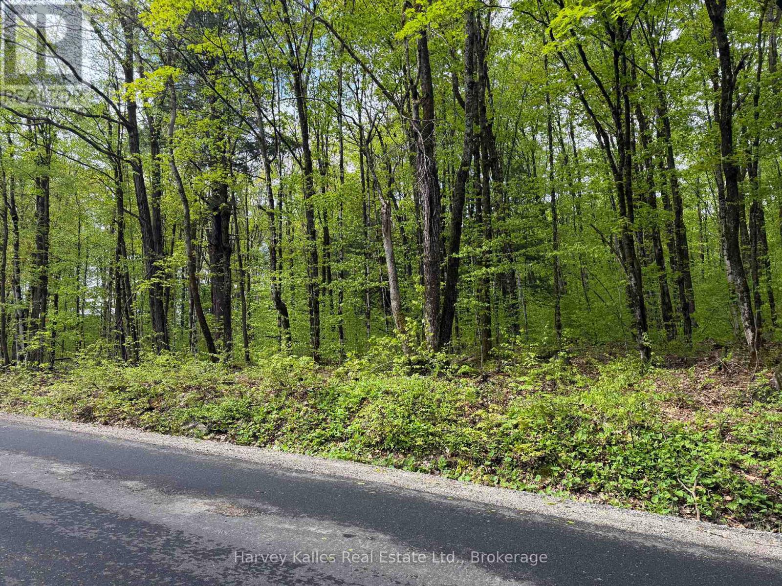 Con 1 Pt Lot 12 Barlochan Road, Muskoka Lakes, Ontario P1P 1R2 - Photo 33 - X13173086