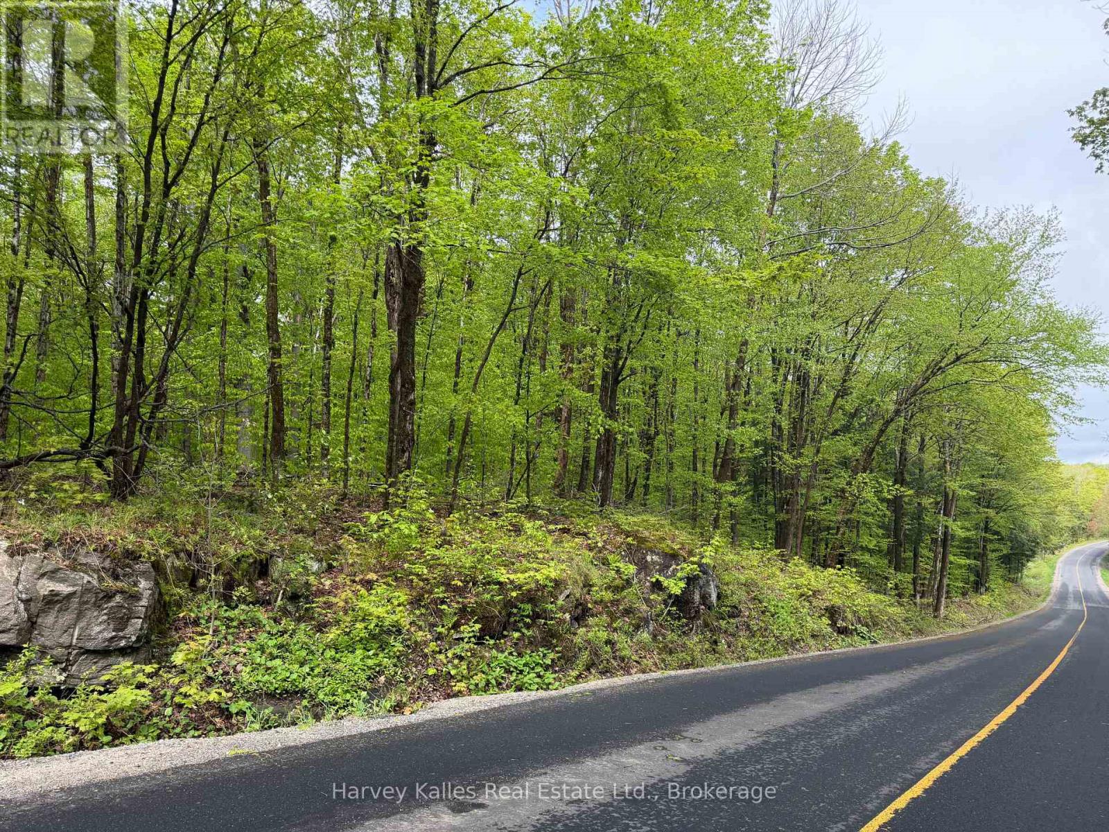 Con 1 Pt Lot 12 Barlochan Road, Muskoka Lakes, Ontario P1P 1R2 - Photo 34 - X13173086