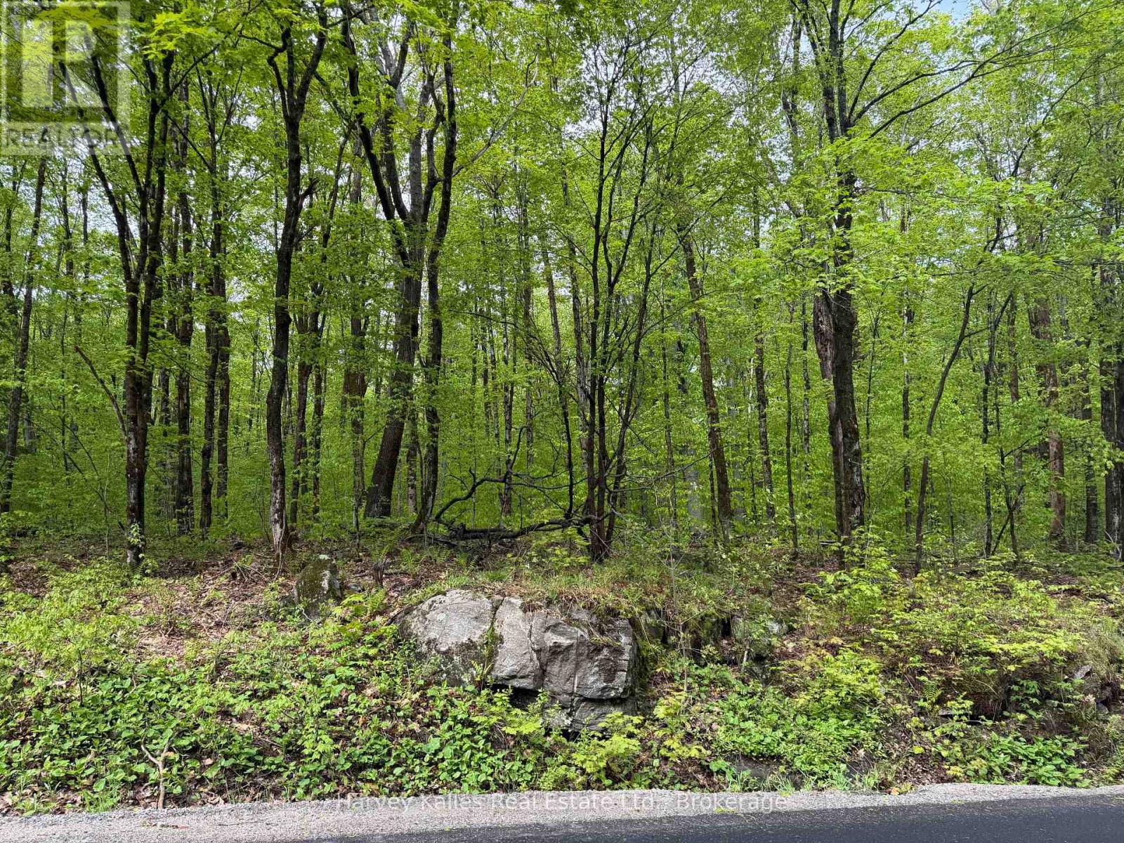 Con 1 Pt Lot 12 Barlochan Road, Muskoka Lakes, Ontario P1P 1R2 - Photo 35 - X13173086