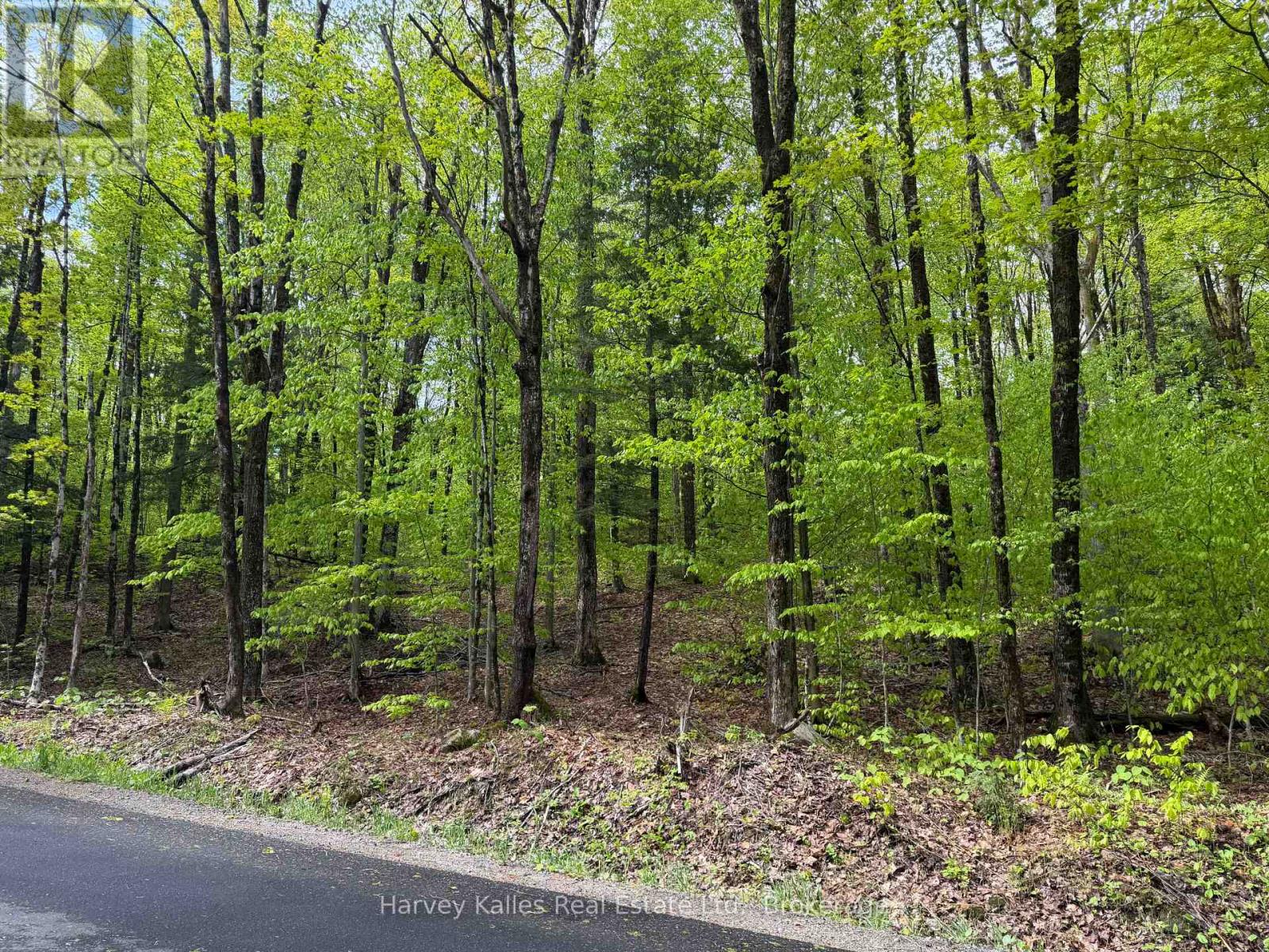 Con 1 Pt Lot 12 Barlochan Road, Muskoka Lakes, Ontario P1P 1R2 - Photo 36 - X13173086