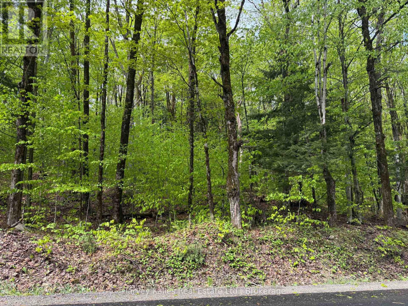 Con 1 Pt Lot 12 Barlochan Road, Muskoka Lakes, Ontario P1P 1R2 - Photo 37 - X13173086