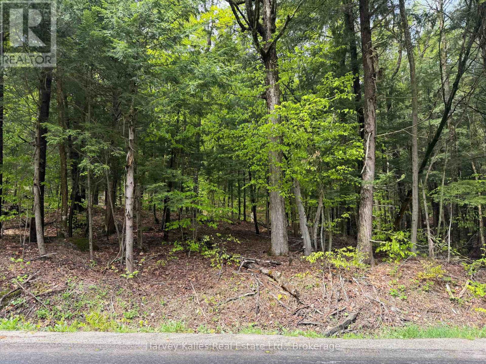 Con 1 Pt Lot 12 Barlochan Road, Muskoka Lakes, Ontario P1P 1R2 - Photo 38 - X13173086