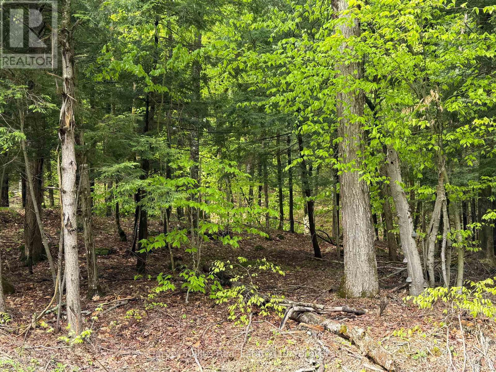 Con 1 Pt Lot 12 Barlochan Road, Muskoka Lakes, Ontario P1P 1R2 - Photo 39 - X13173086