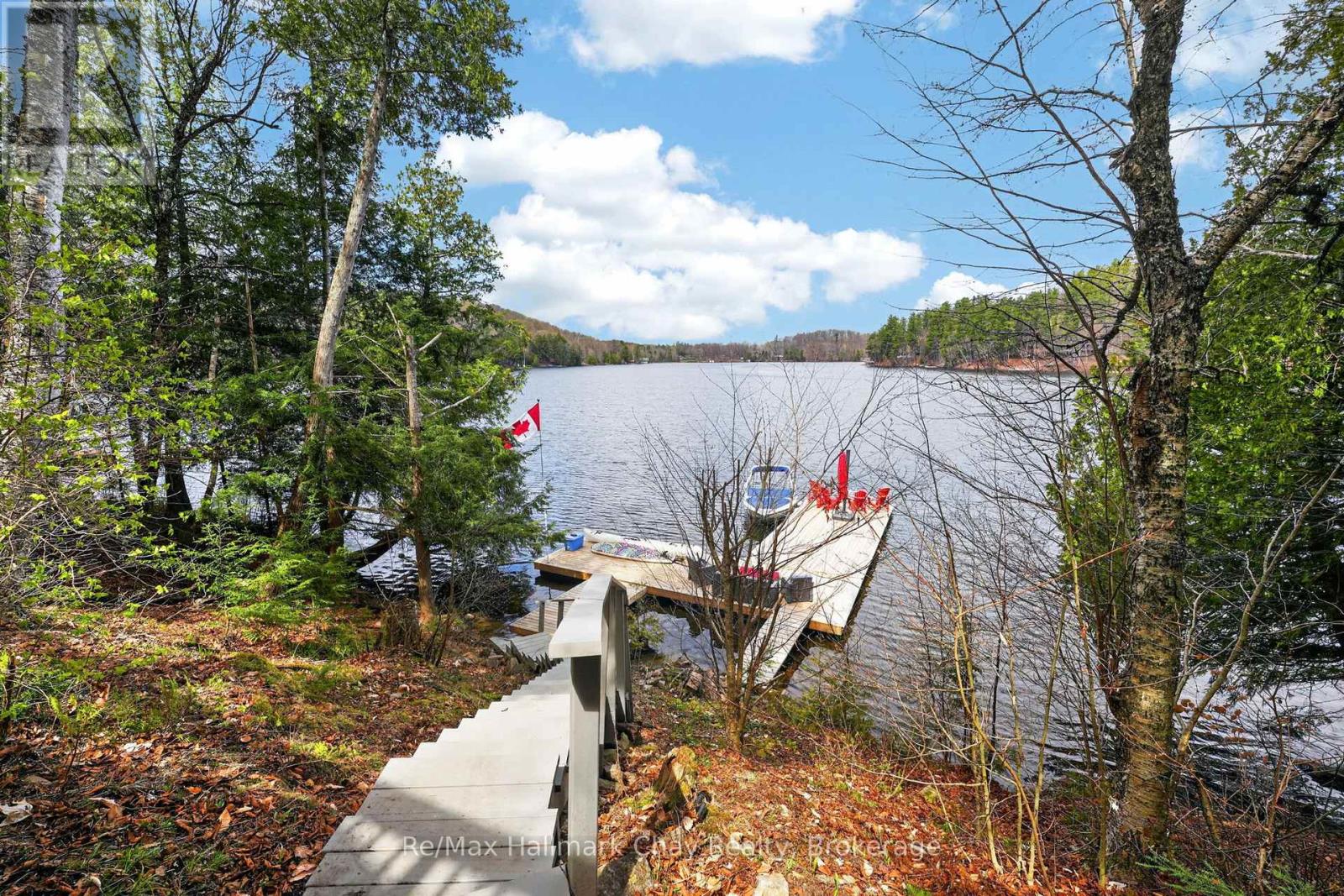 1119 Narrows Road, Lake Of Bays, Ontario P0B 1A0 - Photo 6 - X13175632
