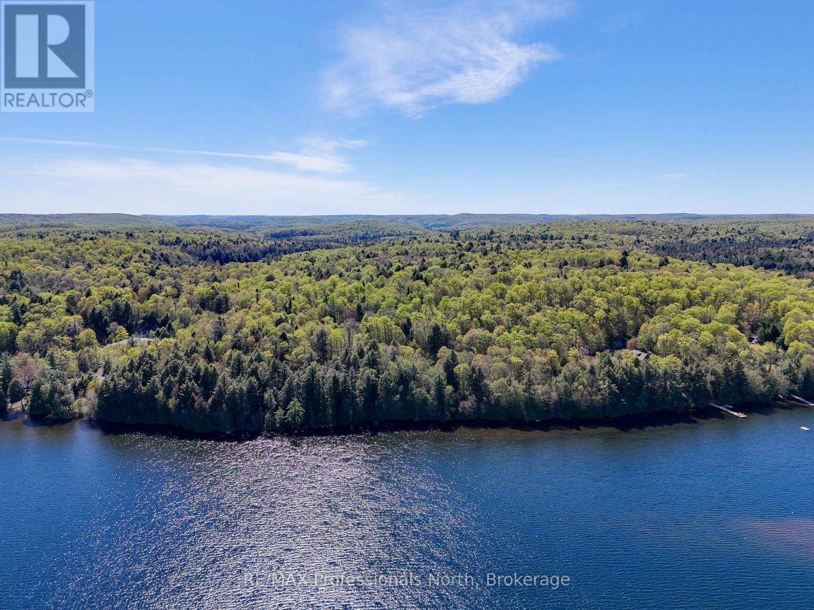 0 Old Sinclair Road, Lake Of Bays, Ontario  P1H 2J6 - Photo 2 - X13190672