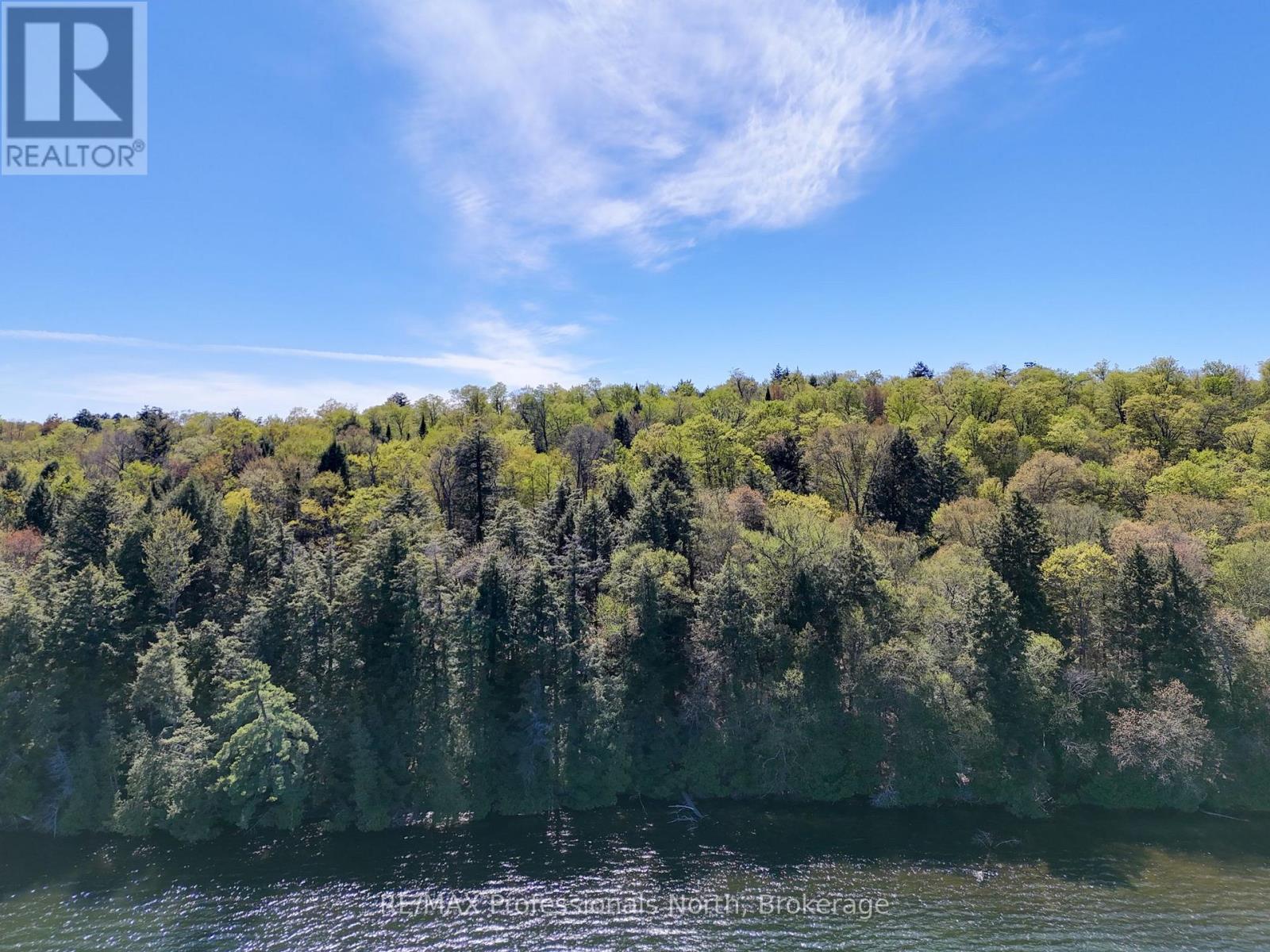 0 Old Sinclair Road, Lake Of Bays, Ontario  P1H 2J6 - Photo 6 - X13190672