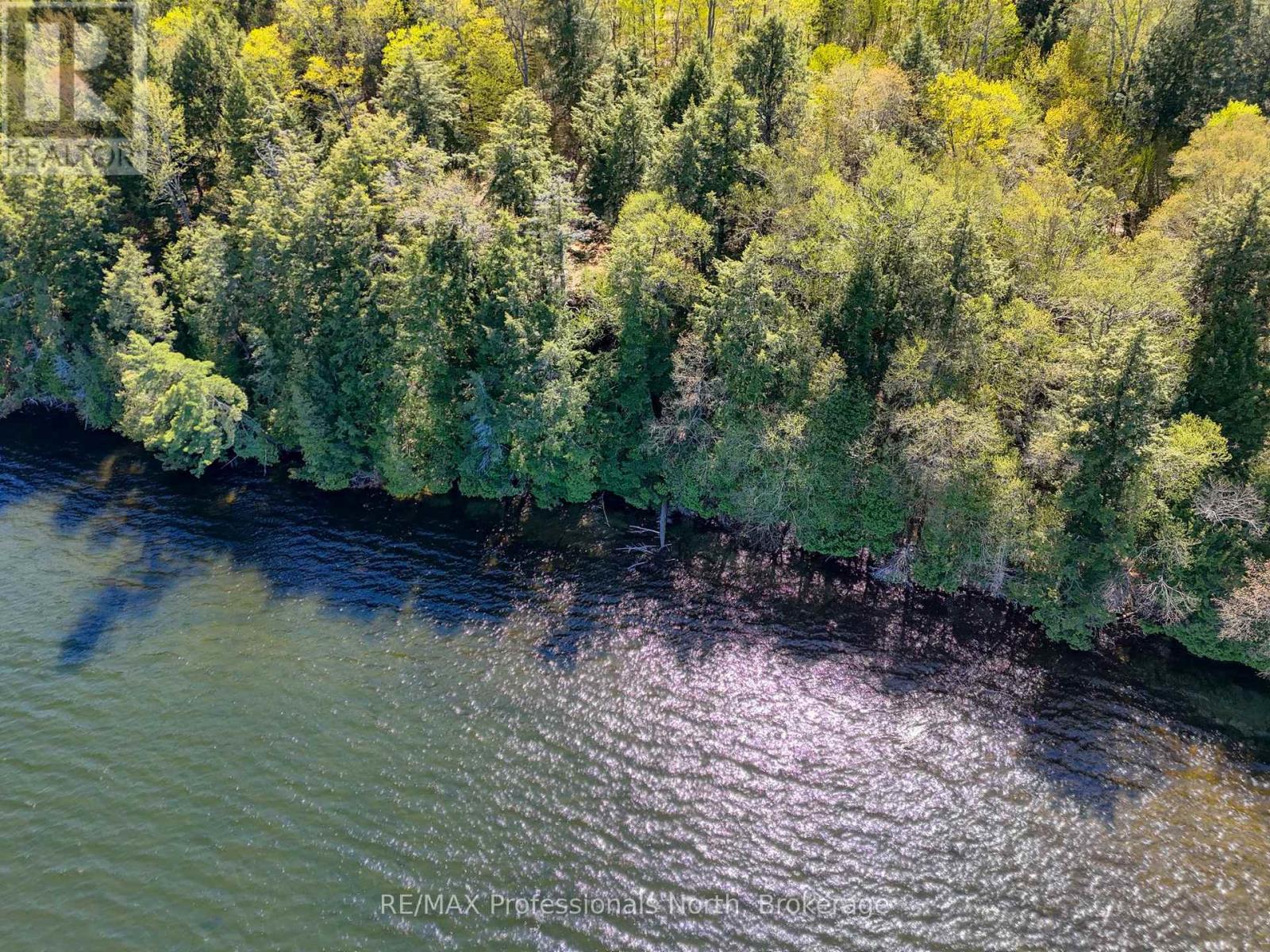 0 Old Sinclair Road, Lake Of Bays, Ontario  P1H 2J6 - Photo 7 - X13190672