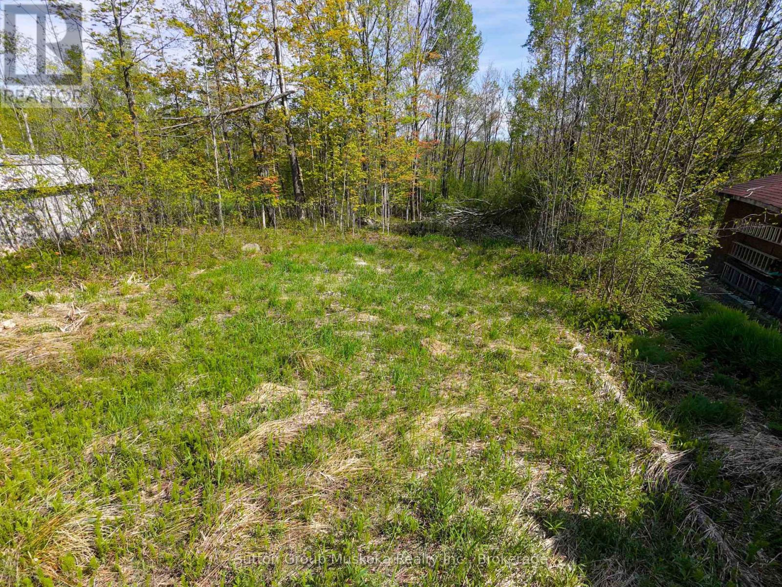 359 Town Line Road W, Huntsville, Ontario P1H 1T8 - Photo 12 - X13206696