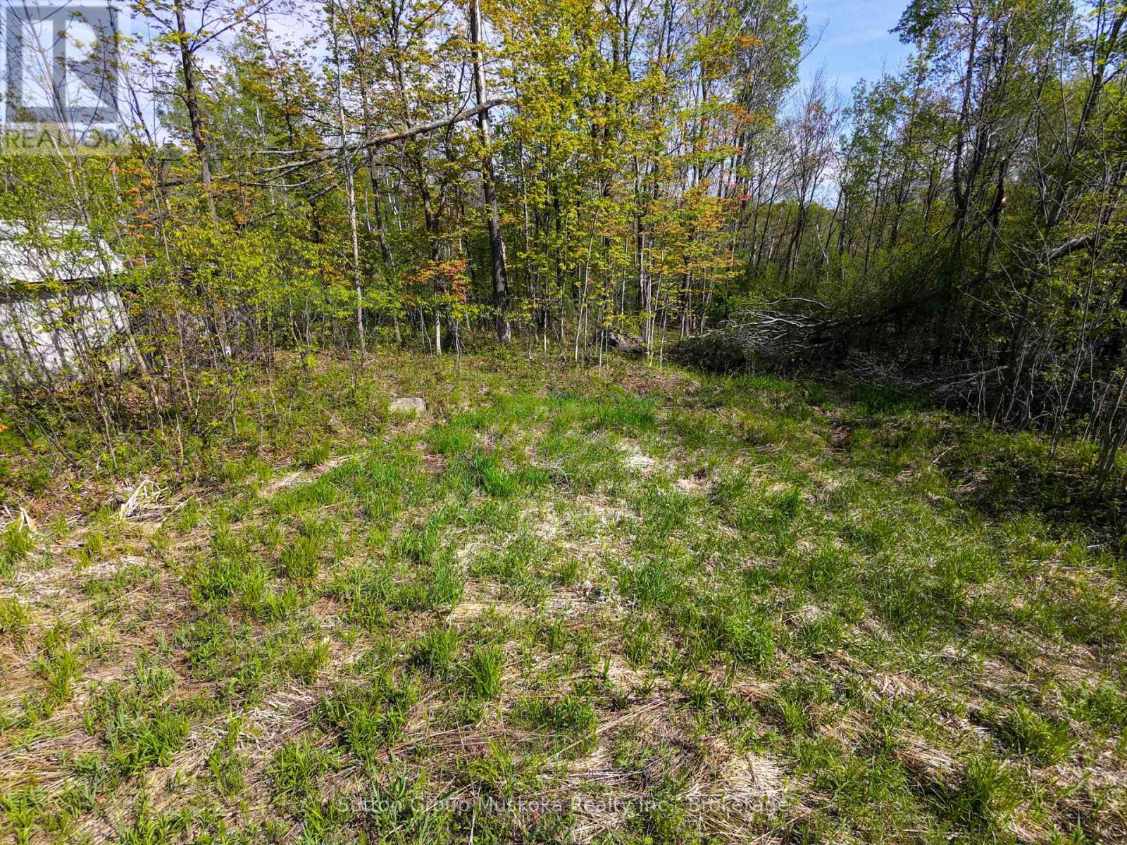 359 Town Line Road W, Huntsville, Ontario P1H 1T8 - Photo 13 - X13206696