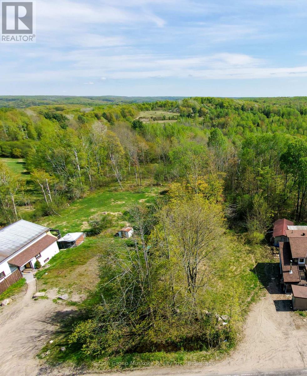 359 Town Line Road W, Huntsville, Ontario P1H 1T8 - Photo 5 - X13206696