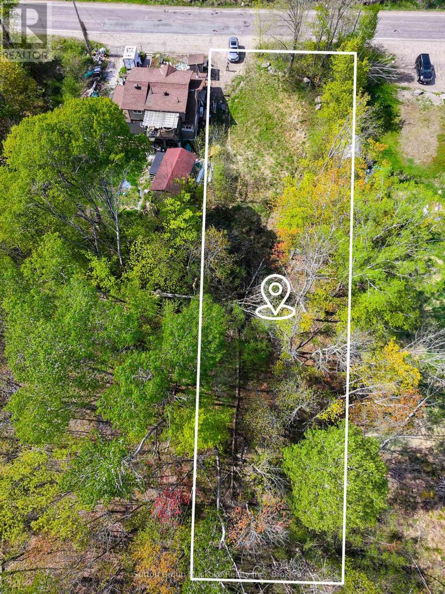 359 Town Line Road W, Huntsville, Ontario P1H 1T8 - Photo 6 - X13206696