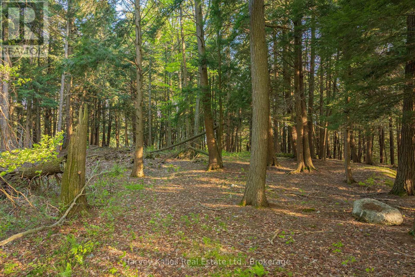 Lot #8 - 38 Gryffin Bluffs Lane, Huntsville, Ontario P0B 1M0 - Photo 3 - X13210692