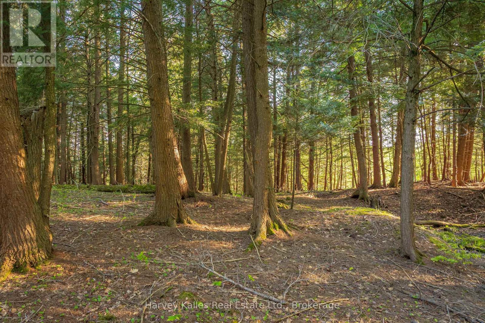 Lot #8 - 38 Gryffin Bluffs Lane, Huntsville, Ontario P0B 1M0 - Photo 4 - X13210692