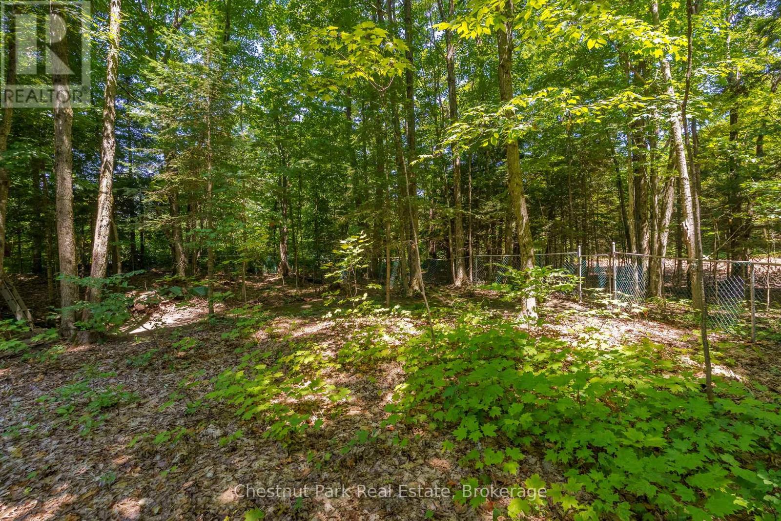 20 Kevin Crescent, Bracebridge, Ontario P1L 1A8 - Photo 39 - X13212492
