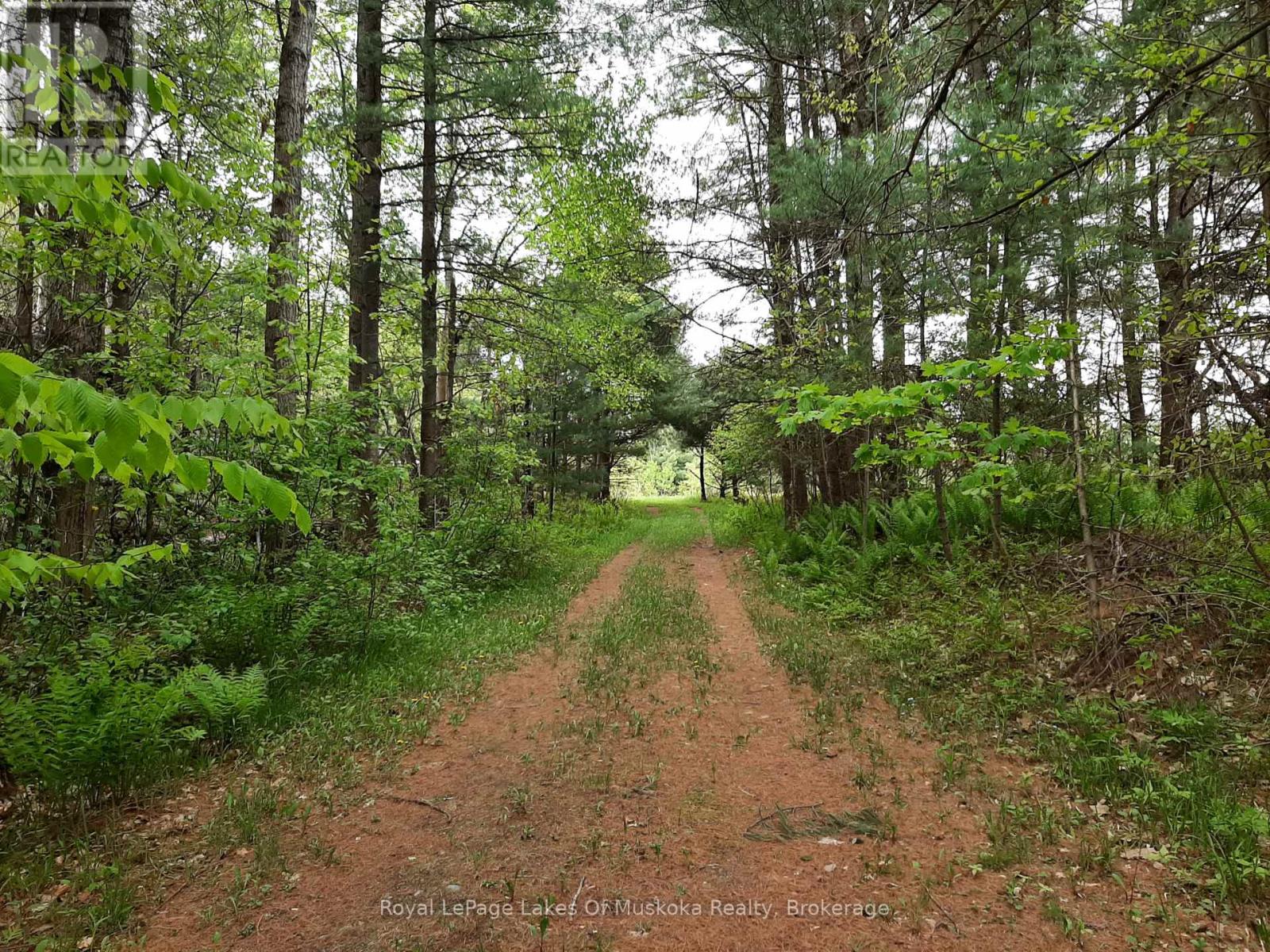 216 Beaumont Road, Bracebridge, Ontario P1L 1X2 - Photo 45 - X13214154