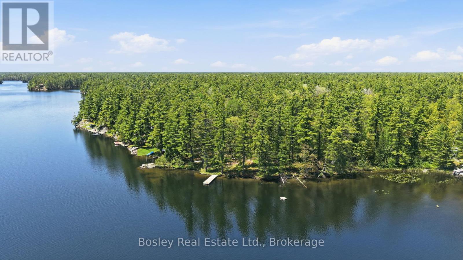 19 Sr404 Severn River Shore, Muskoka Lakes, Ontario L0K 1E0 - Photo 1 - X13217288