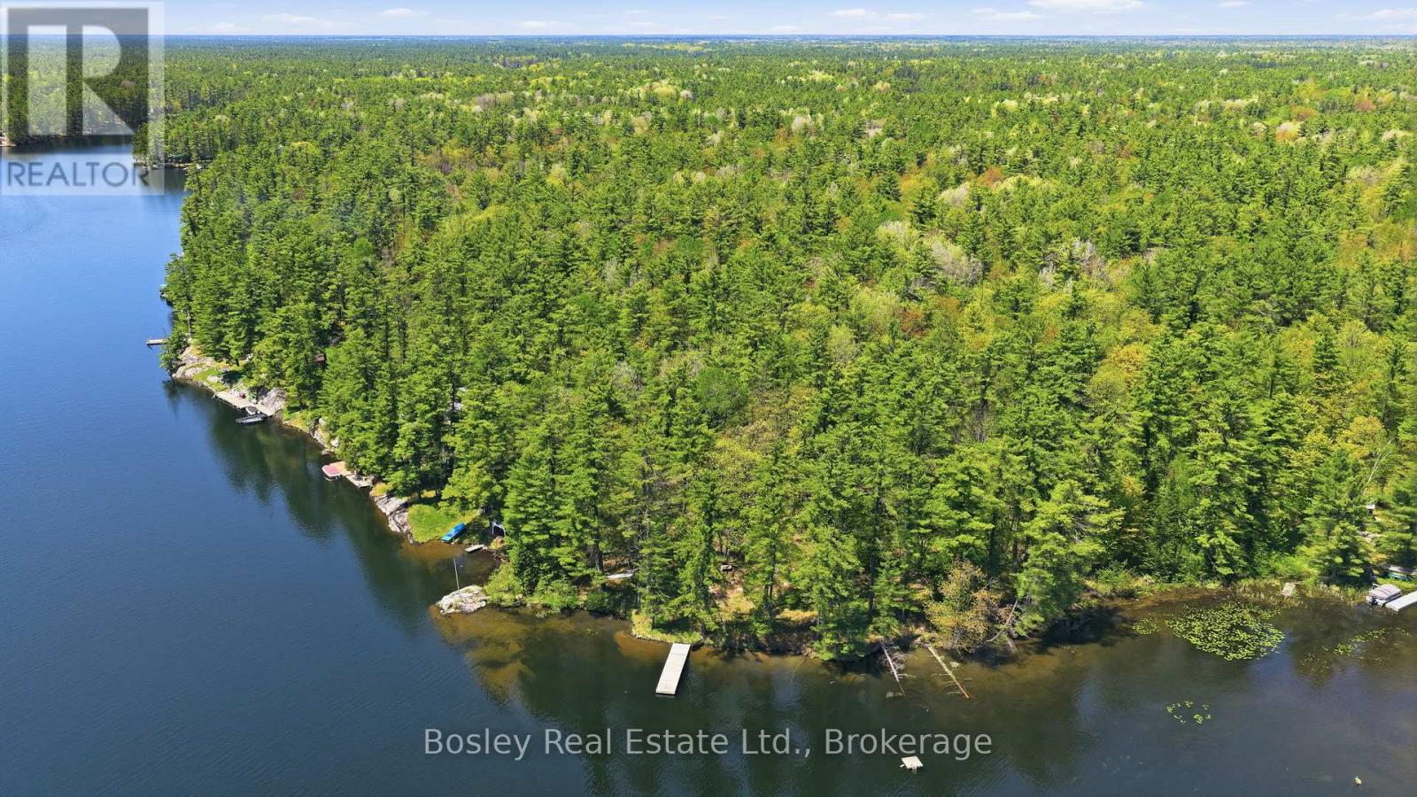 19 Sr404 Severn River Shore, Muskoka Lakes, Ontario L0K 1E0 - Photo 3 - X13217288