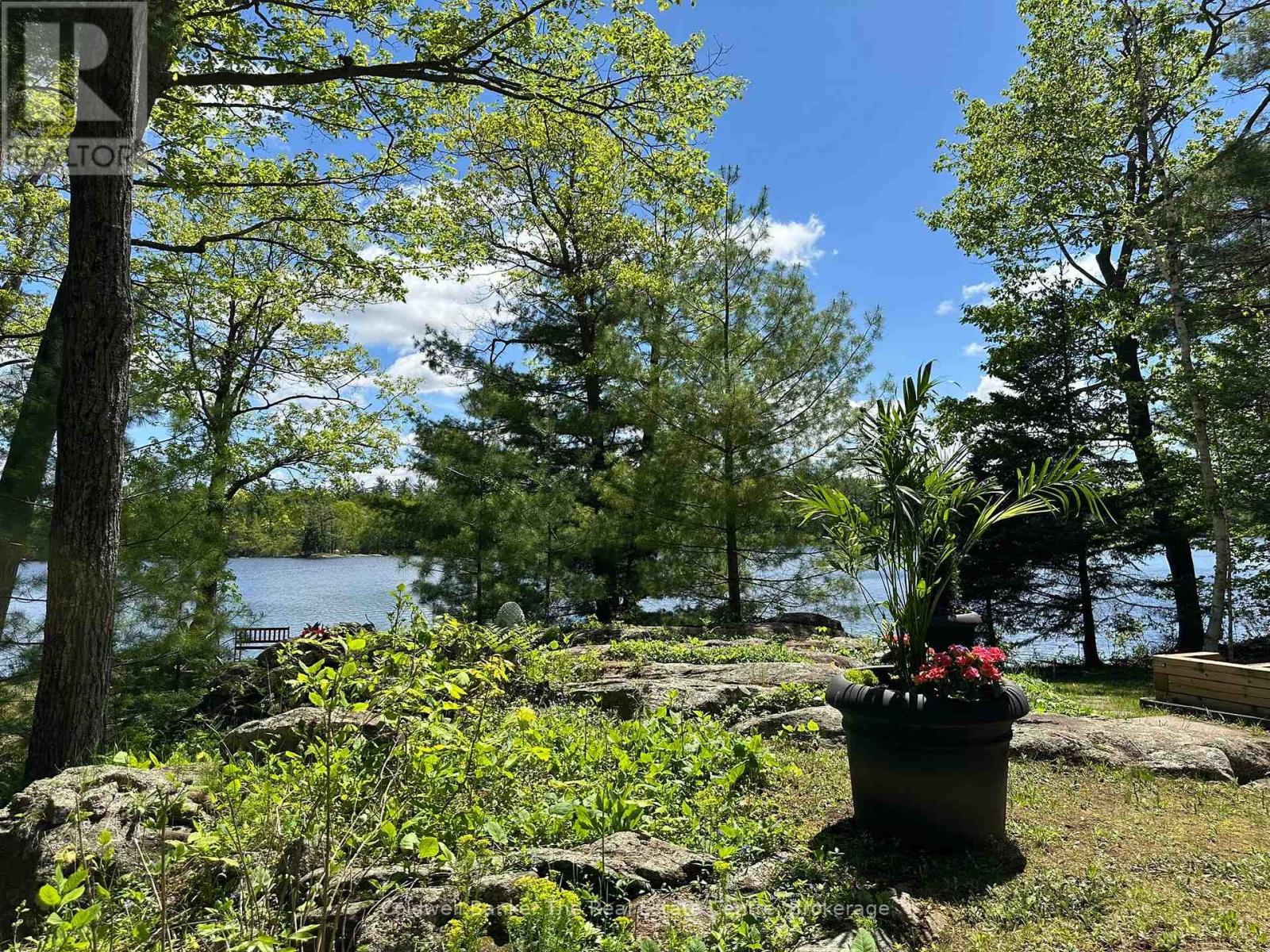 1319 West Lions Head Road, Gravenhurst, Ontario P0P 1G0 - Photo 19 - X13218998