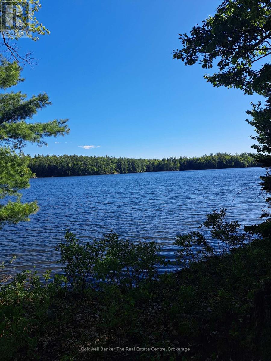1319 West Lions Head Road, Gravenhurst, Ontario P0P 1G0 - Photo 36 - X13218998