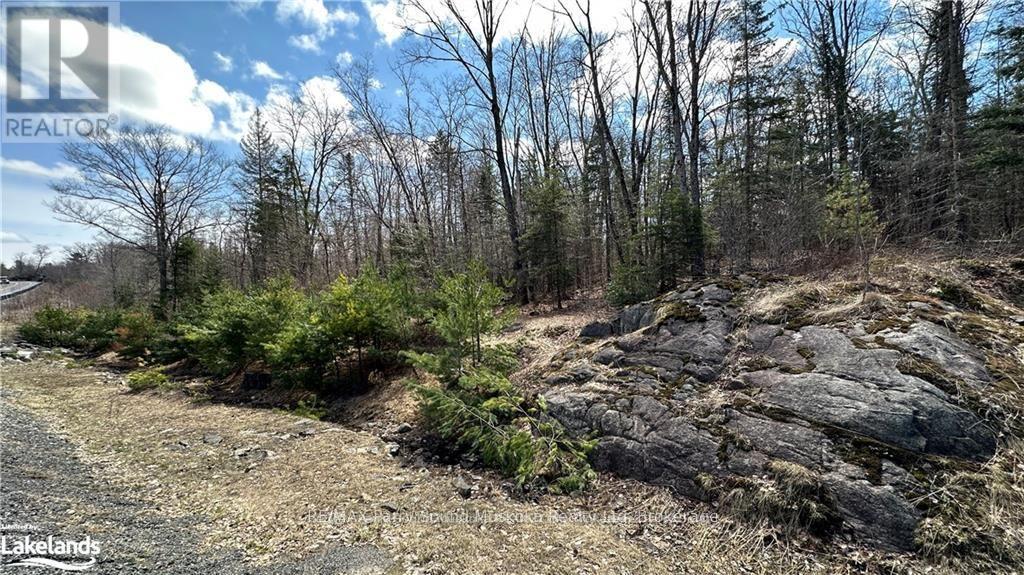 593 Highway 518, Seguin, Ontario  P2A 0B2 - Photo 5 - X13220796