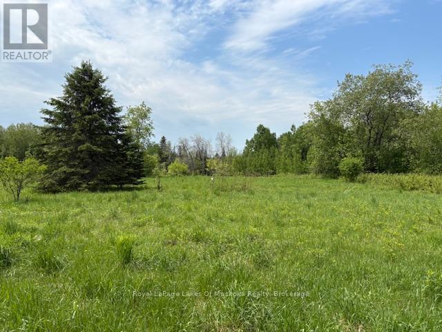 351 Ravenscliffe Road, Huntsville, Ontario P1H 1L6 - Photo 1 - X13221426
