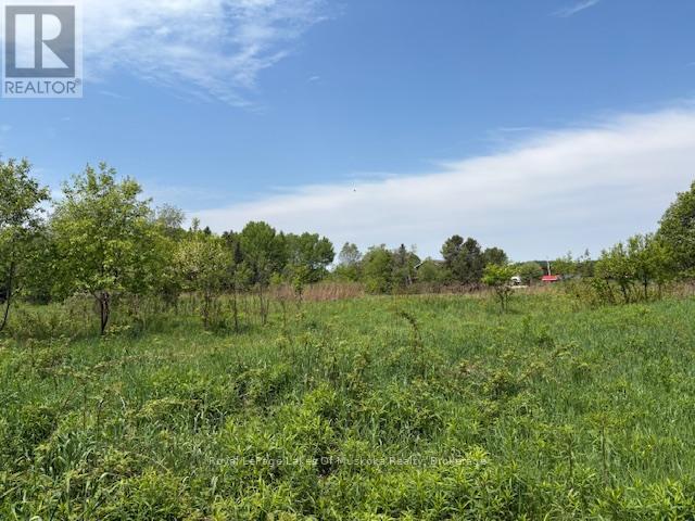 351 Ravenscliffe Road, Huntsville, Ontario P1H 1L6 - Photo 11 - X13221426
