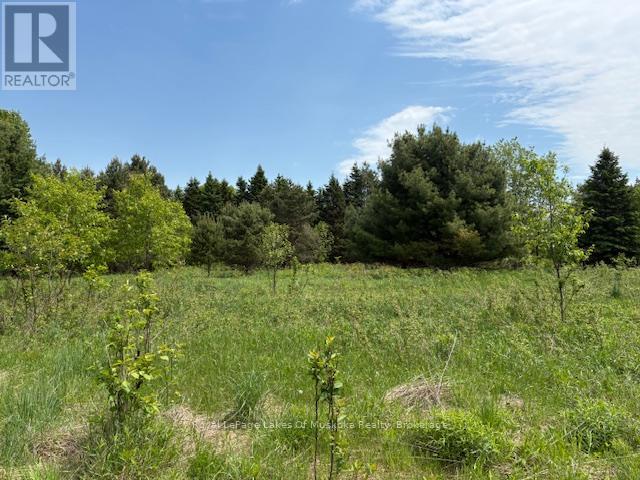 351 Ravenscliffe Road, Huntsville, Ontario P1H 1L6 - Photo 17 - X13221426