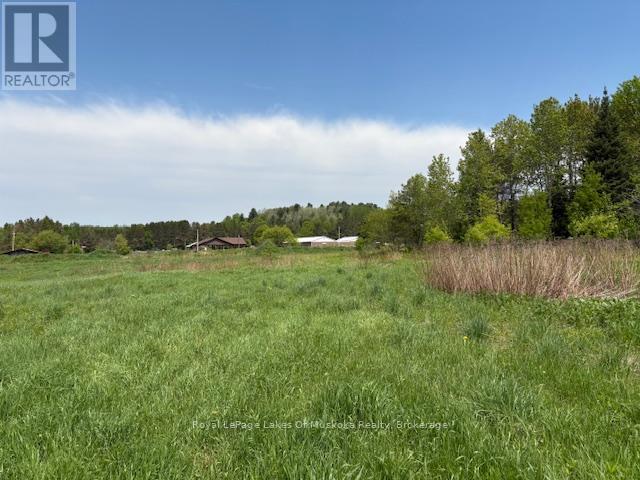 351 Ravenscliffe Road, Huntsville, Ontario P1H 1L6 - Photo 20 - X13221426