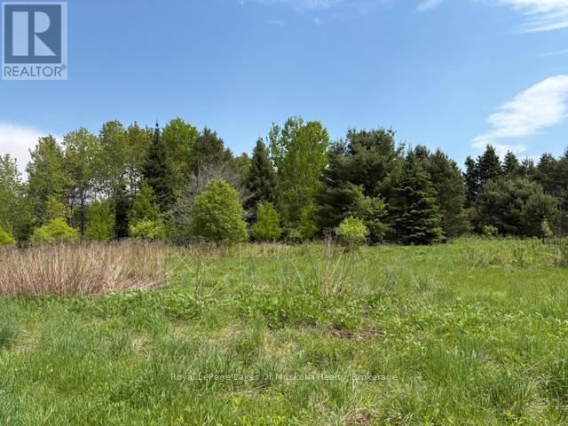 351 Ravenscliffe Road, Huntsville, Ontario P1H 1L6 - Photo 21 - X13221426
