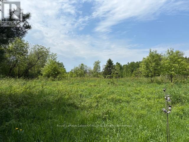 351 Ravenscliffe Road, Huntsville, Ontario P1H 1L6 - Photo 7 - X13221426