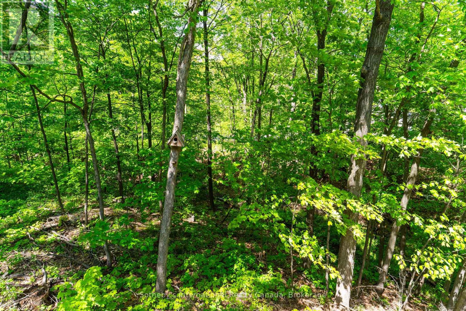 180 Clairmont Road, Gravenhurst, Ontario P1P 1H9 - Photo 24 - X13226354