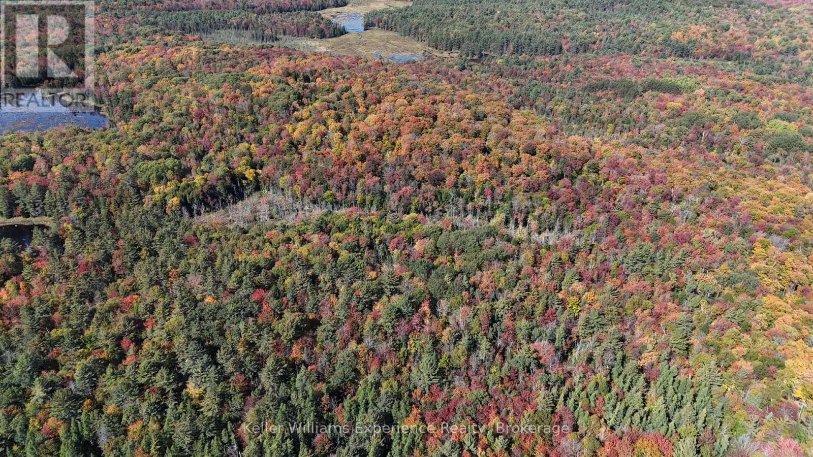 Pl20 Langford Road, Lake Of Bays, Ontario  P0B 1A0 - Photo 1 - X13227254